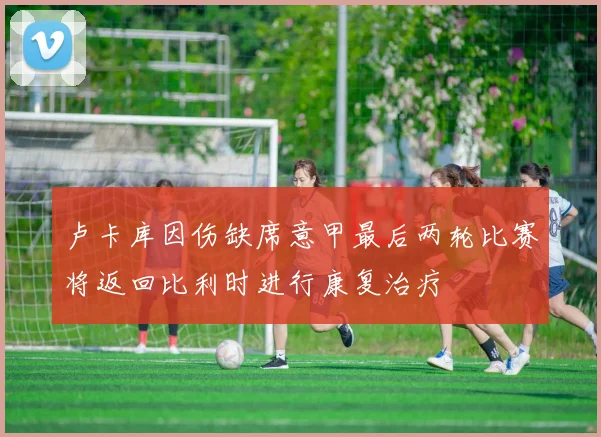 卢卡库因伤缺席意甲最后两轮比赛将返回比利时进行康复治疗